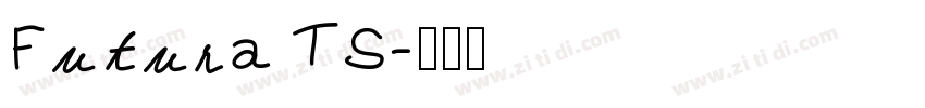 Futura TS字体转换